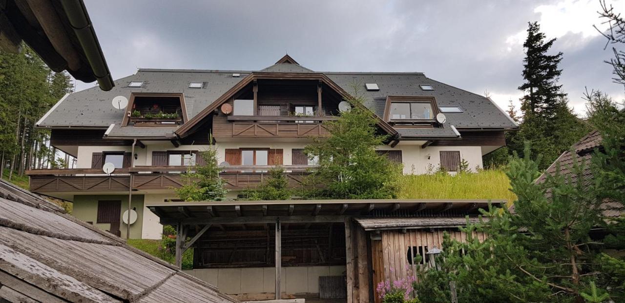 Katschberghoehe 21 Kültér fotó